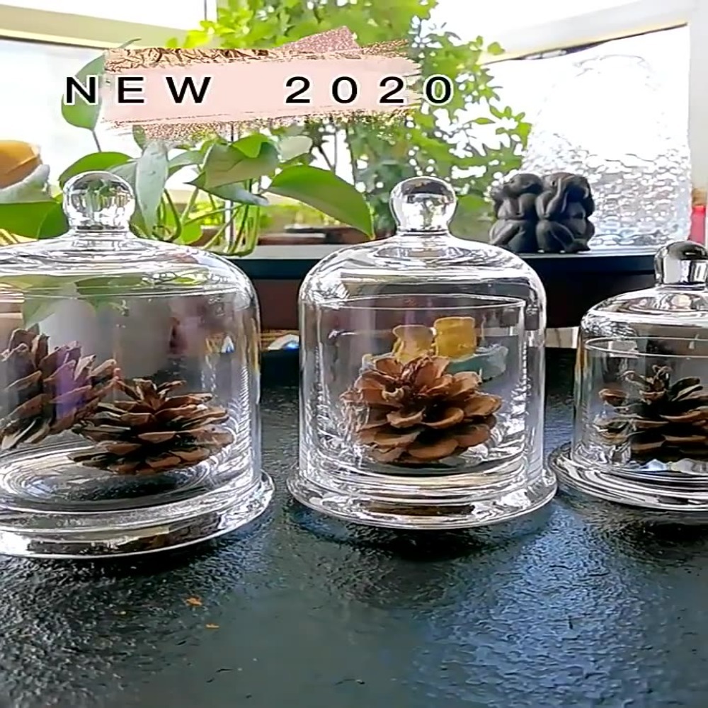 โถแก้วเก็บของ ดอกไม้ชีวิตนิรัน - Candle Making Jars With Lids บทวิจารณ์และราคา